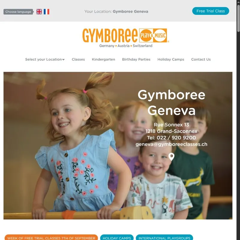 A little website care for Gymboree Geneva — preview